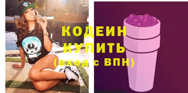 гашик Пересвет