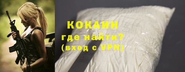 гашик Пересвет