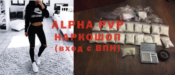 гашик Пересвет
